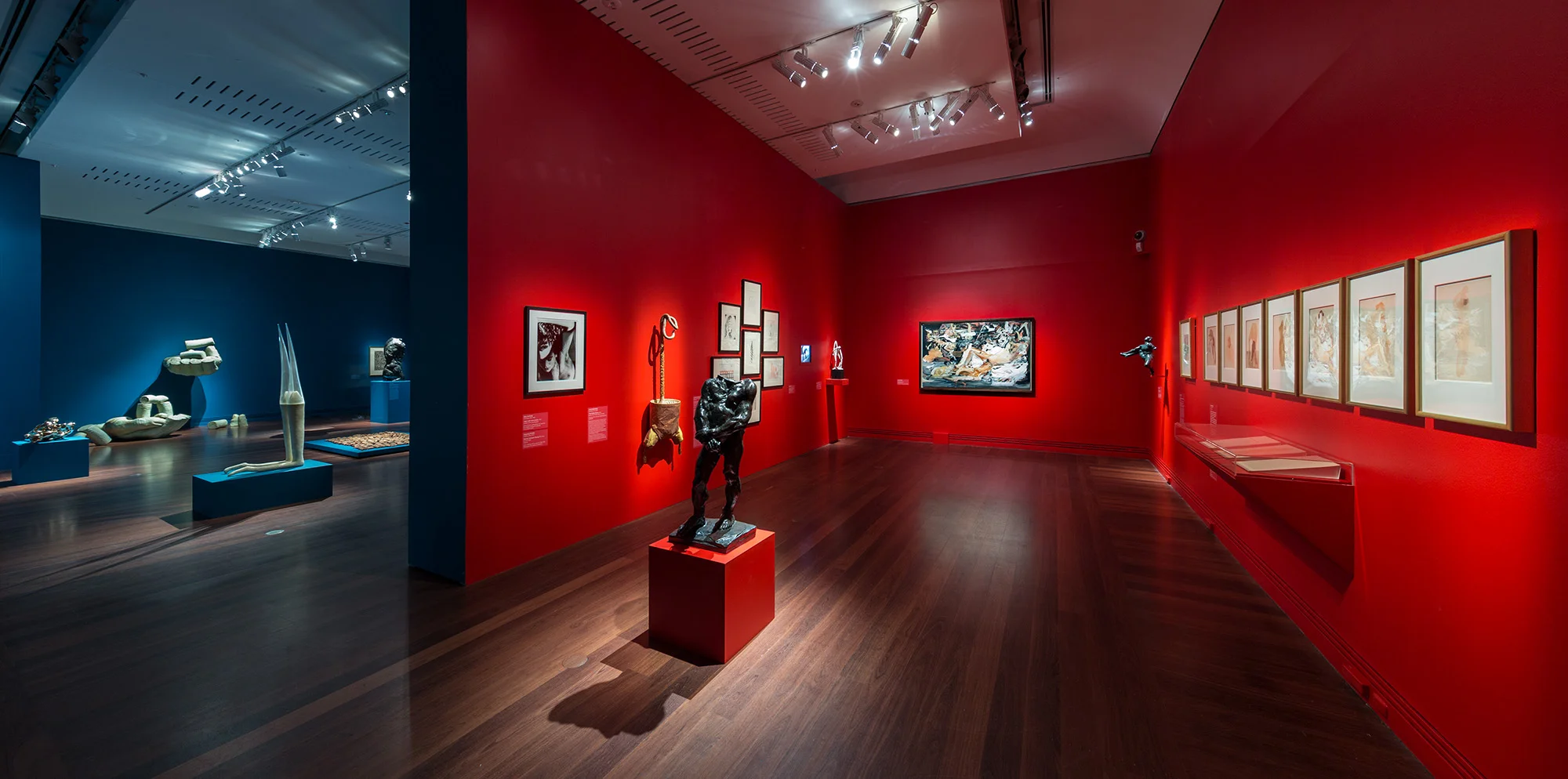 Installation view Versus Rodin: bodies across space and time , Art Gallery of South Australia, 2017, viewable: The fragmented body, The erotic body.