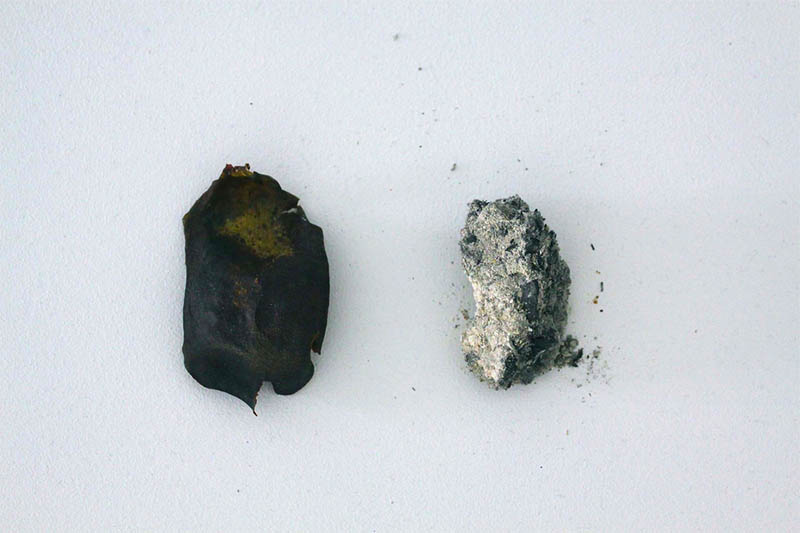 Julia McInerney, White Air Anatomy (detail), 2013, avocado skins and seeds, ash, foam, volcanic pumice, aluminium umbrella spokes, water, marble dust, rubble, plastic, plaster, dried leaf, watermelon seeds coated in ash, mirror, fluorescent lights and fittings, fan, 3mm thick panes of glass painted white (on one side), dimensions variable, FELTspace, Photo: Grant Hancock. Courtesy the artist