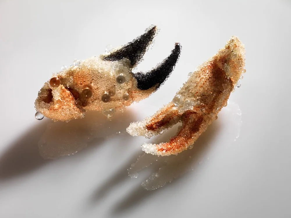 Catherine Truman, No Surface Holds: Crab Claw Installation , 2015-17, found crab claws, glass spheres, dimensions variable. Photo by Grant Hancock.