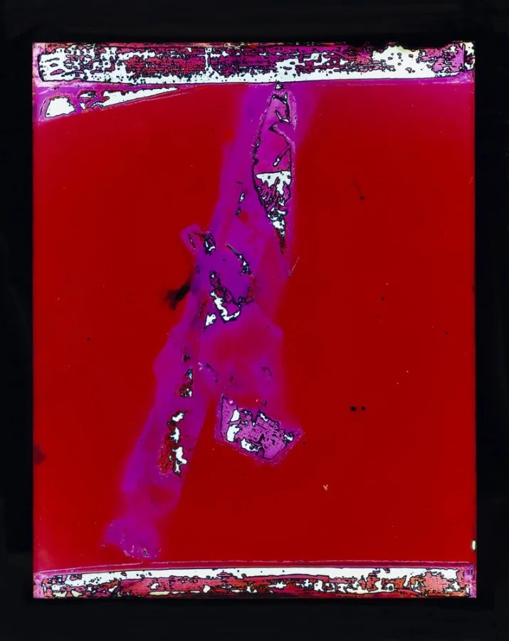 Justine Varga, Australia, born 1984, Antidote , 2016, chromogenic photos, dimensions variable; Courtesy of the artist and Hugo Michell Gallery, Adelaide.