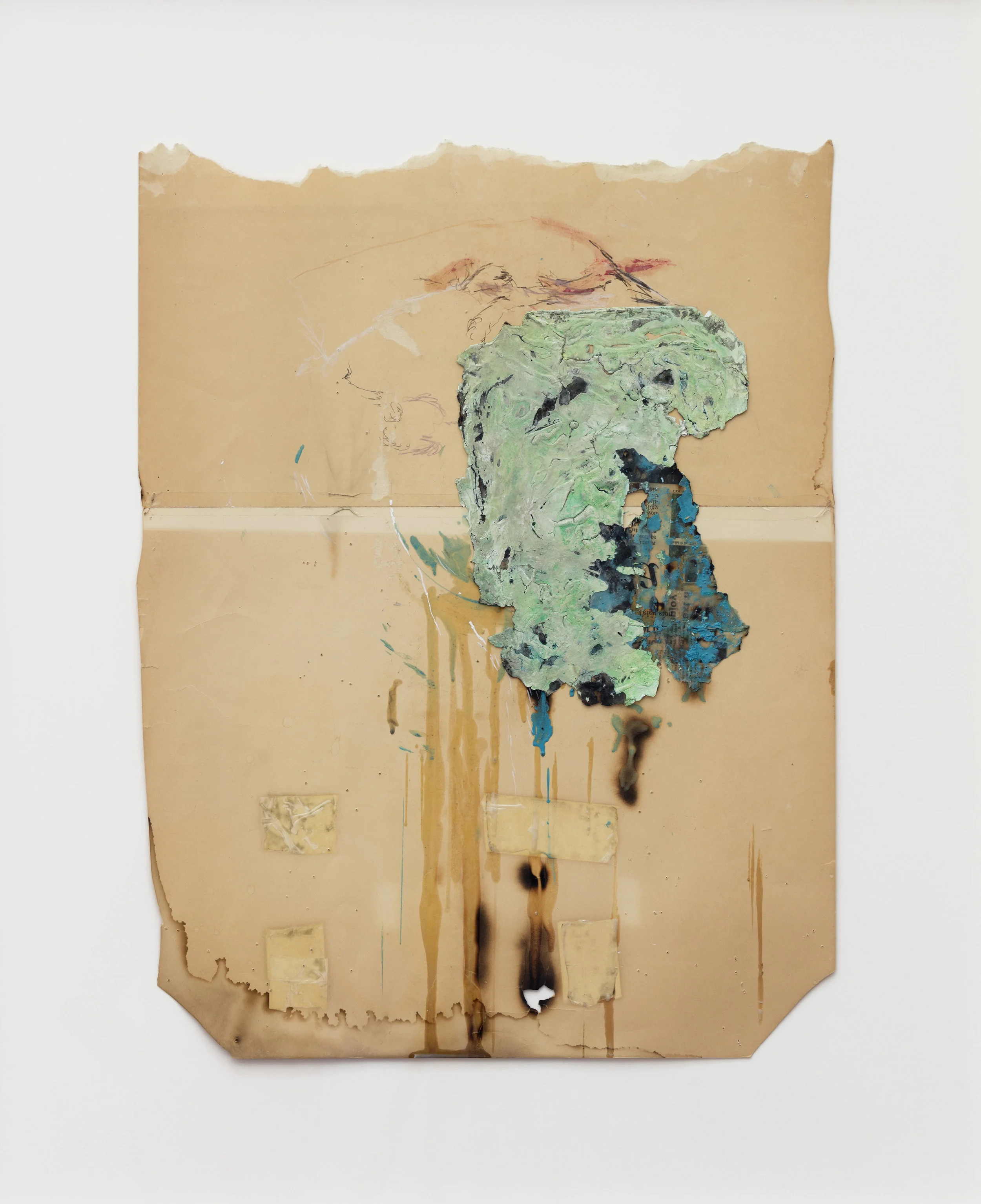 Anohni, Green Angel of Death , 2016. Courtesy Nikolaj Kunsthal.