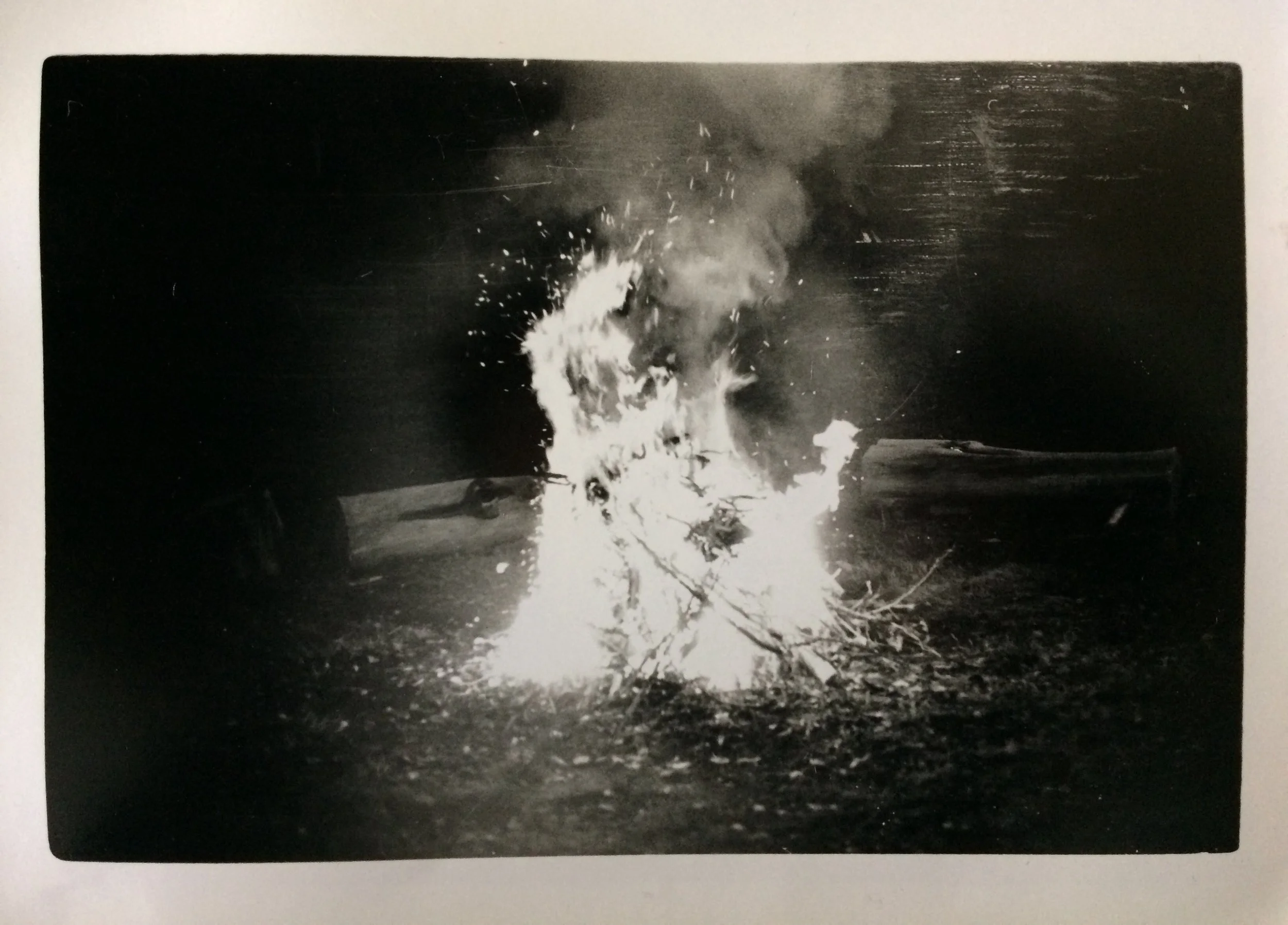 Josie Dillon, circle of friends, 2019, photograph courtesy the artist.