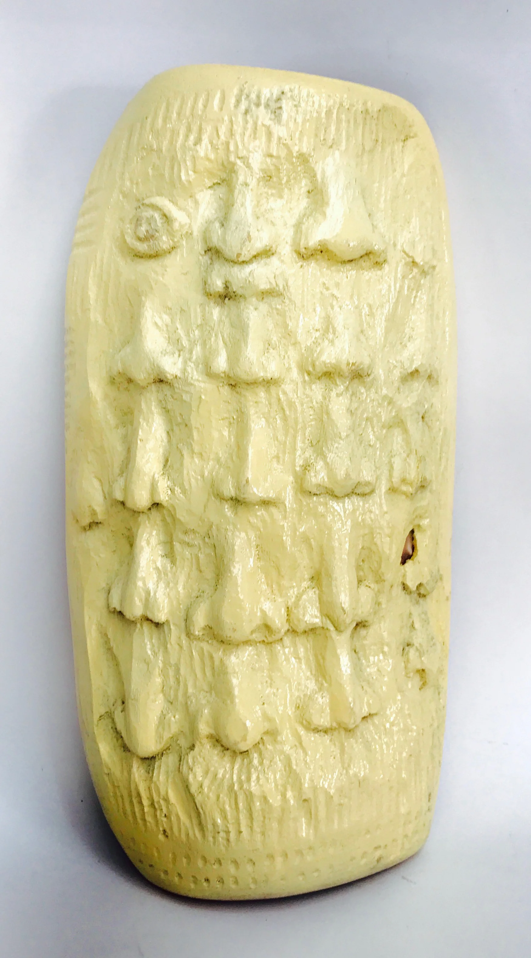 proboscis shield.jpg