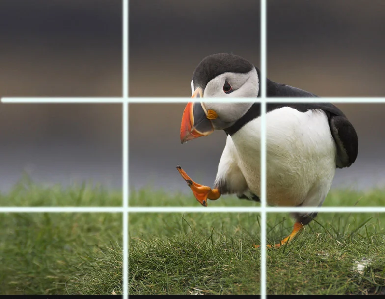 edited-rule-of-thirds.jpg