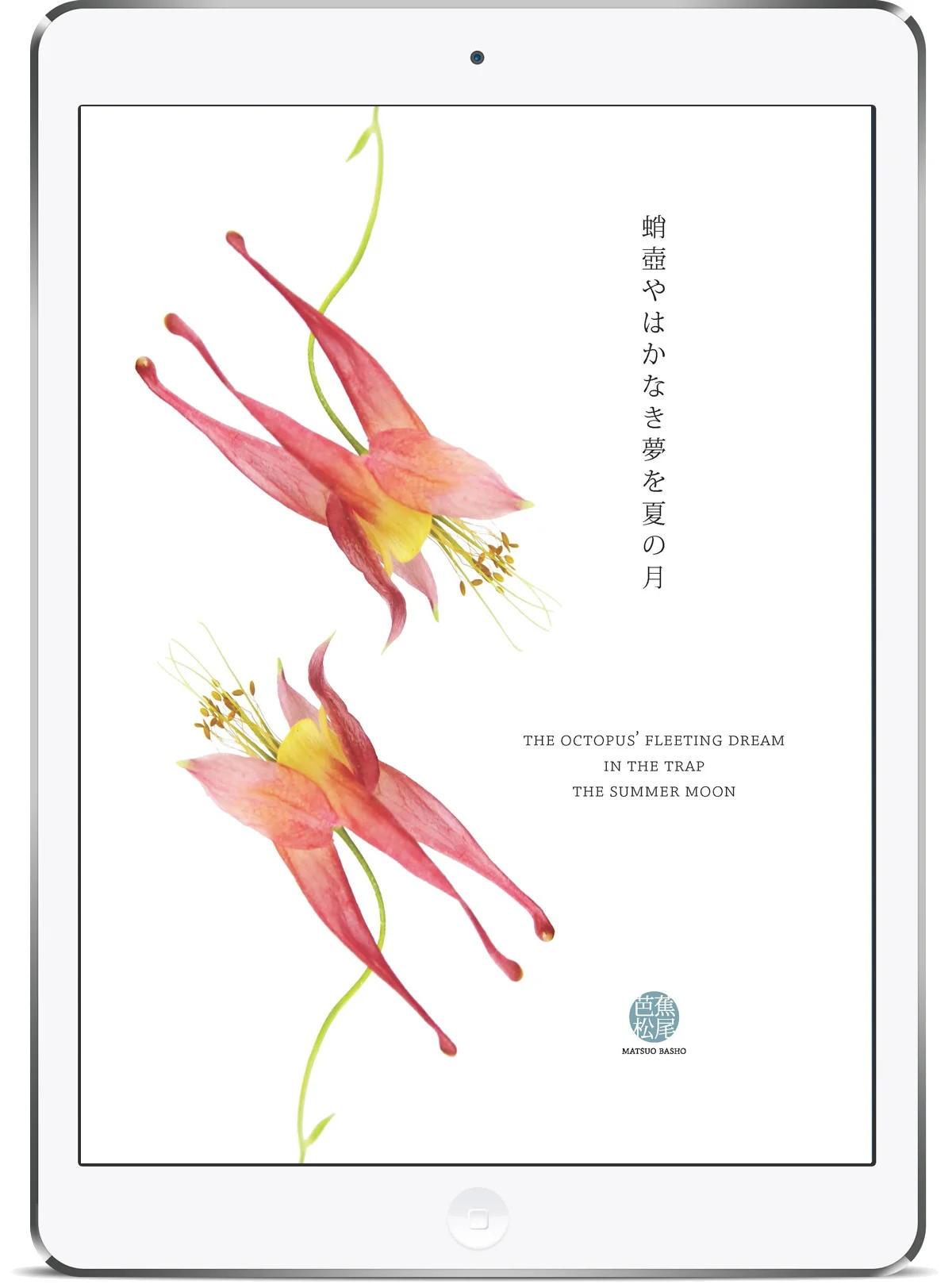 Basho iPad Prototype.jpg