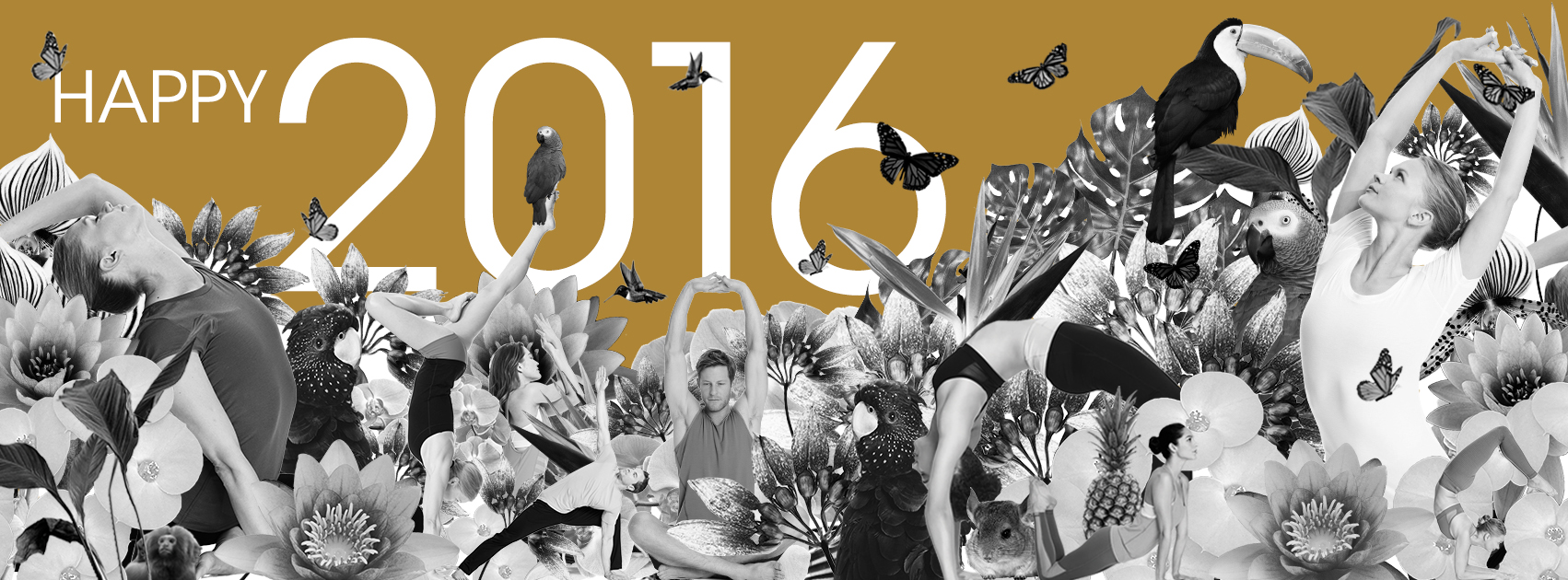 12-31 FB Cover 2016.jpg