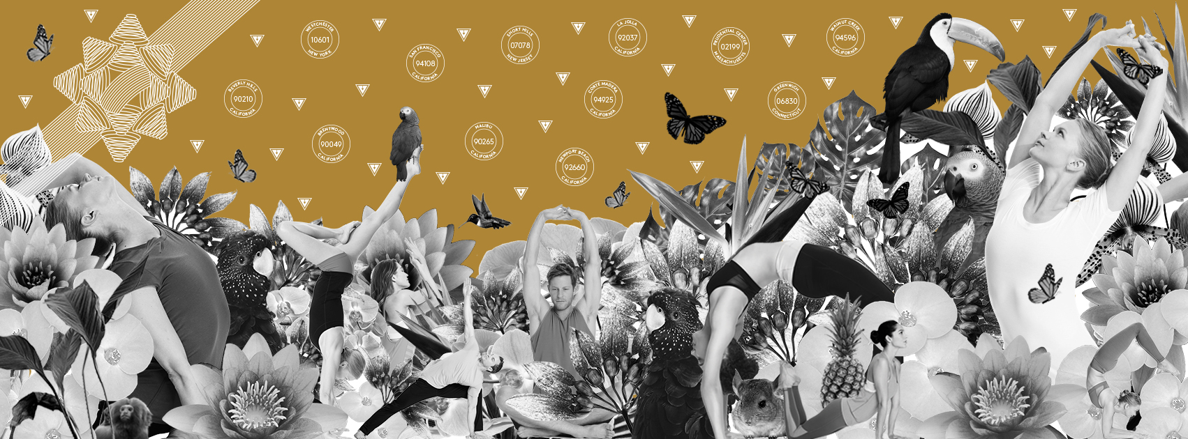 12-10 FB Cover YS Wanderland 2.jpg