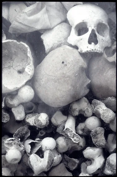s22-skulls.jpg