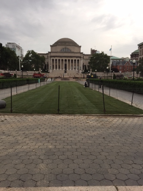 image5.jpeg
