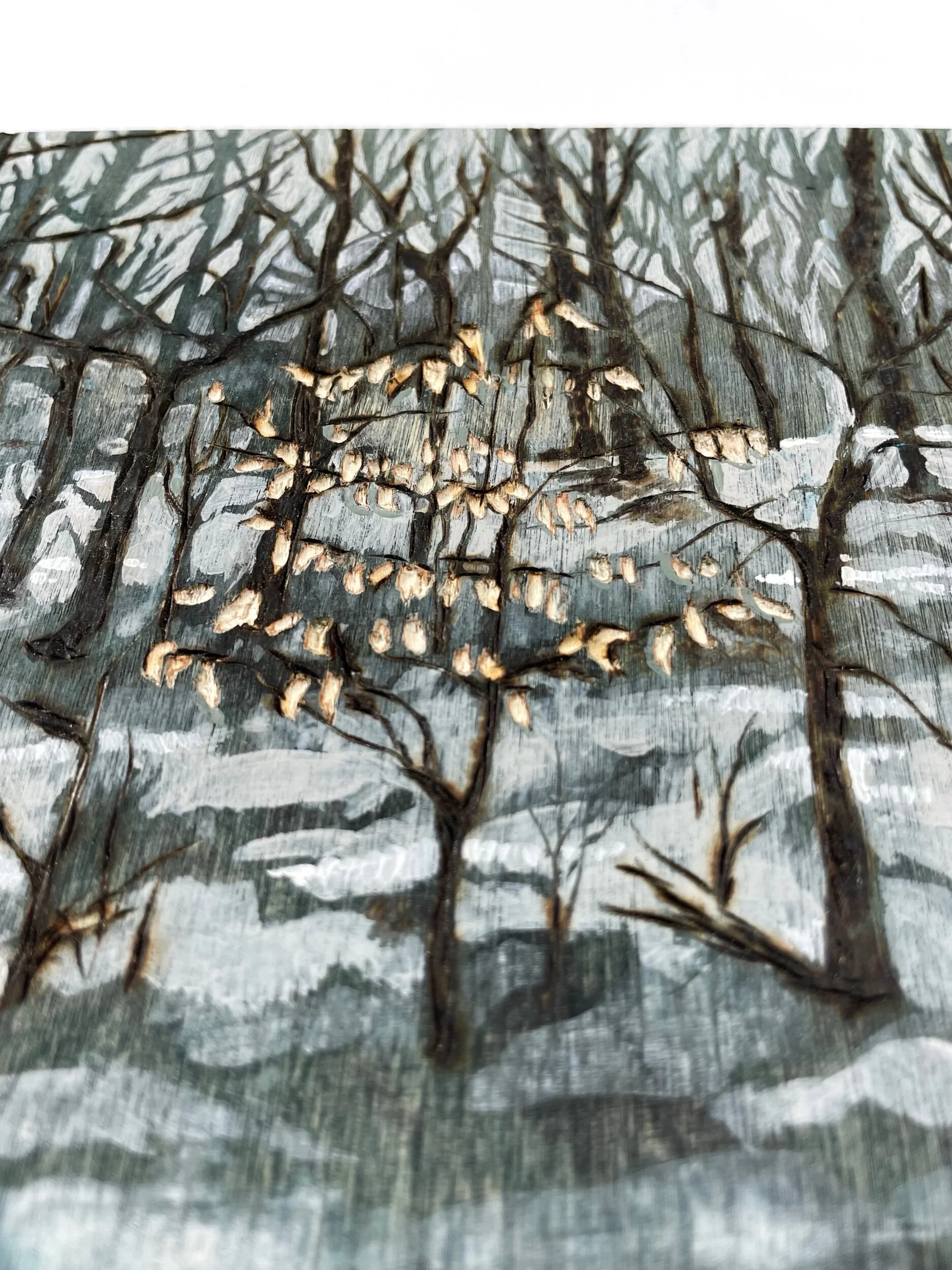 C600F659-6BF5-45D5-84E4-2AAA90572FB7