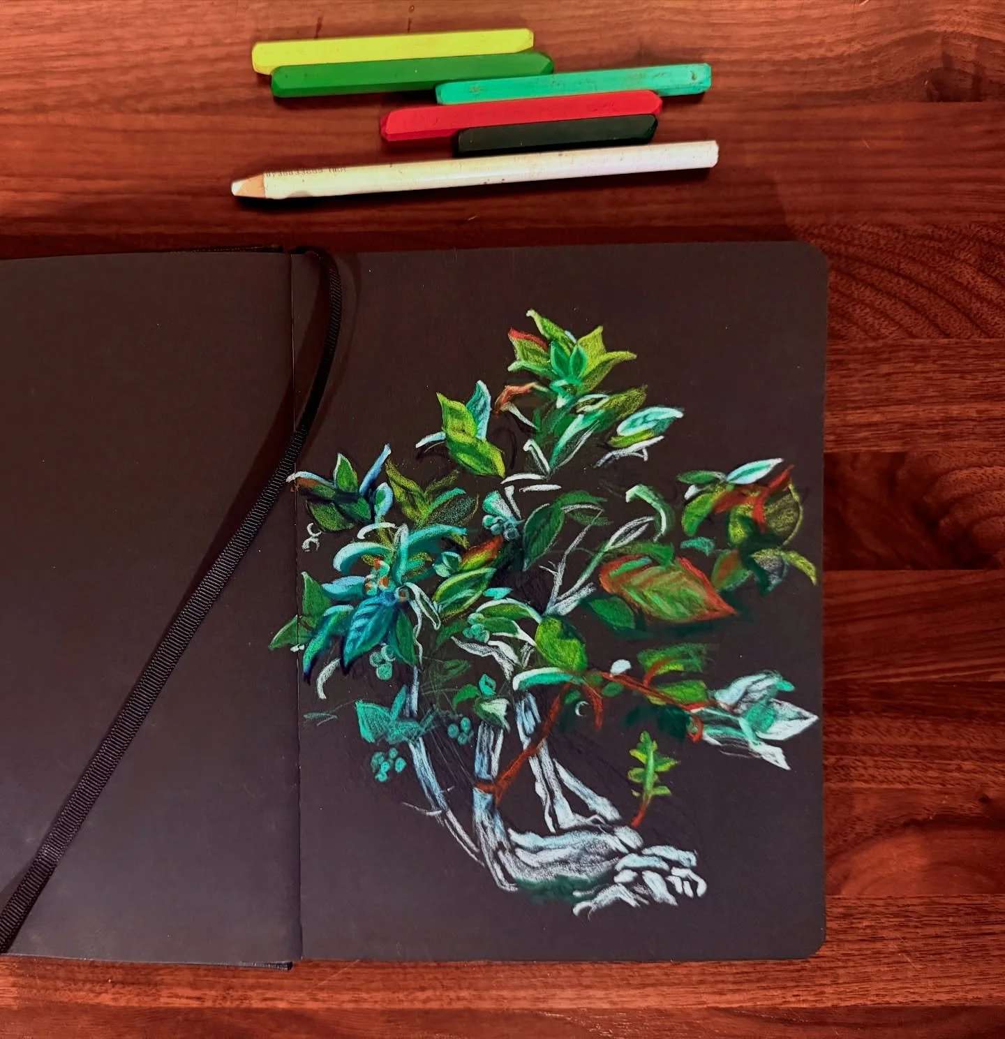 95/100 Sketch of a bonsai highbush blueberry from Longwood Gardens. I hope @thewrkncacnter gets into bonsai. 🤞🌳🪴