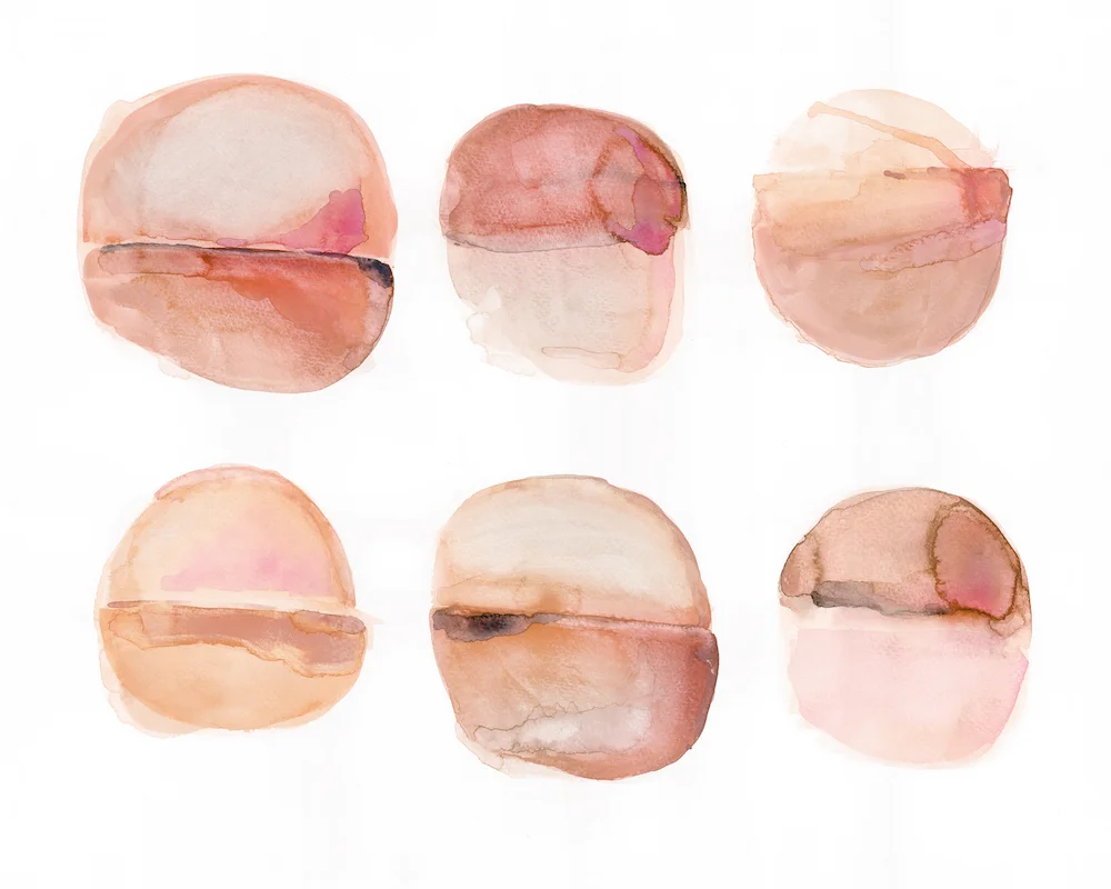Peach Circles.jpg