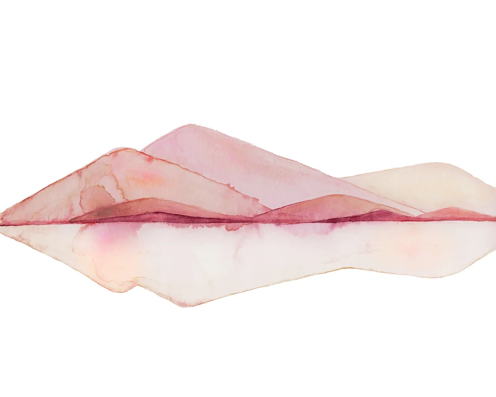Reflected in Peach.jpg