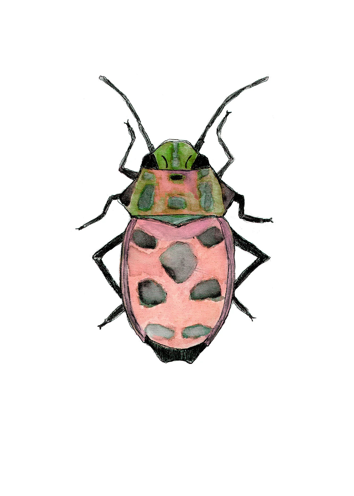 Beetle1 Red.jpg