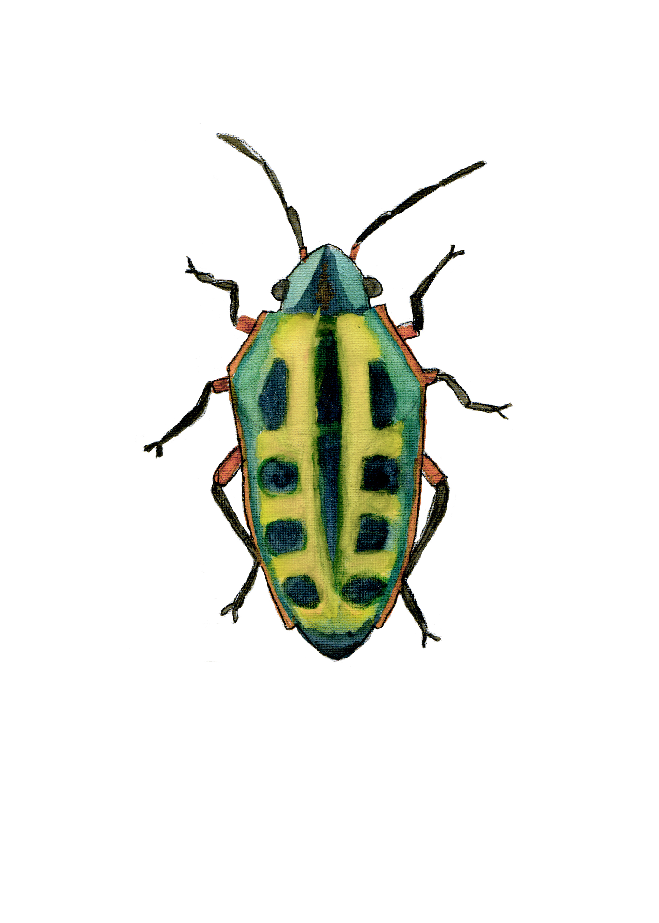 Beetle2 Green.jpg