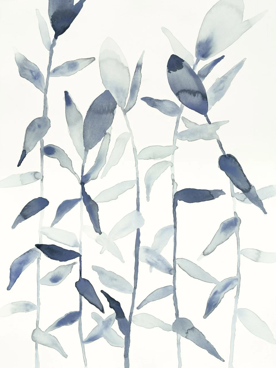 Climbing Mist II.jpg