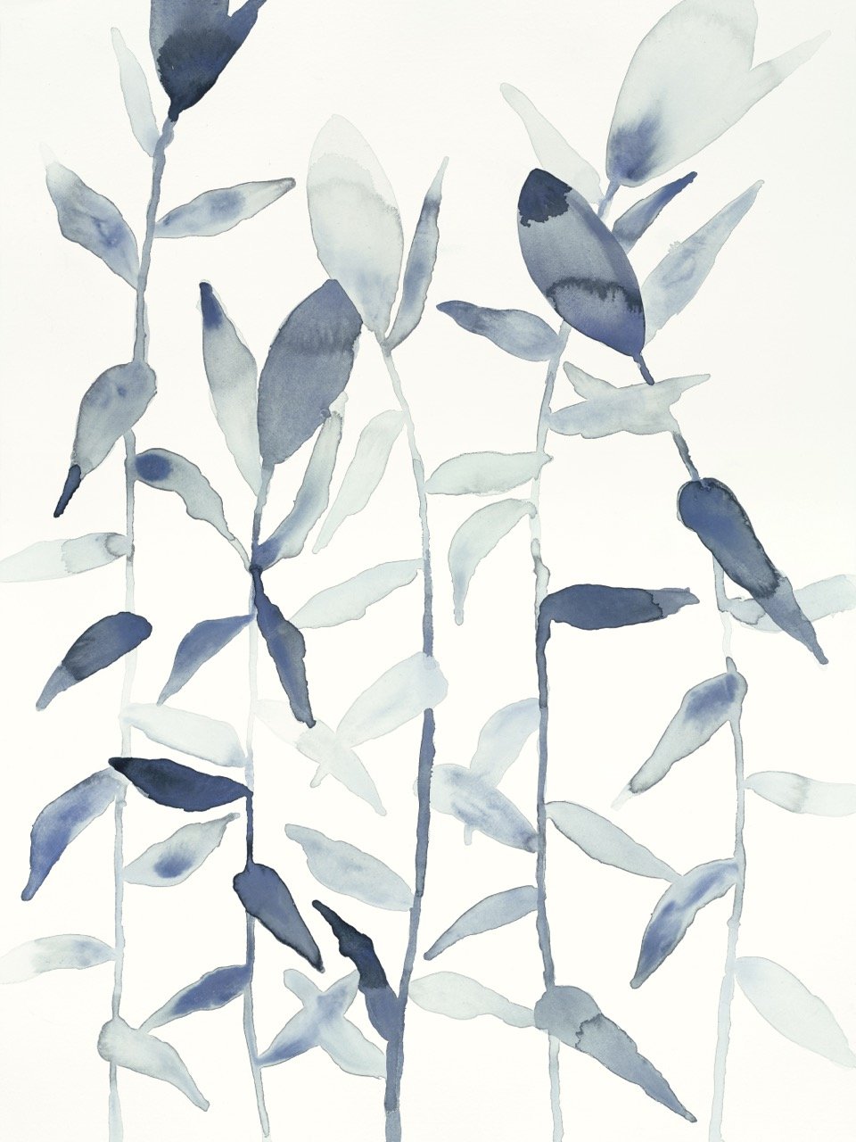Climbing Mist II.jpg