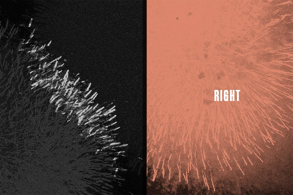 Explicable Visual Disability (Right) #1
