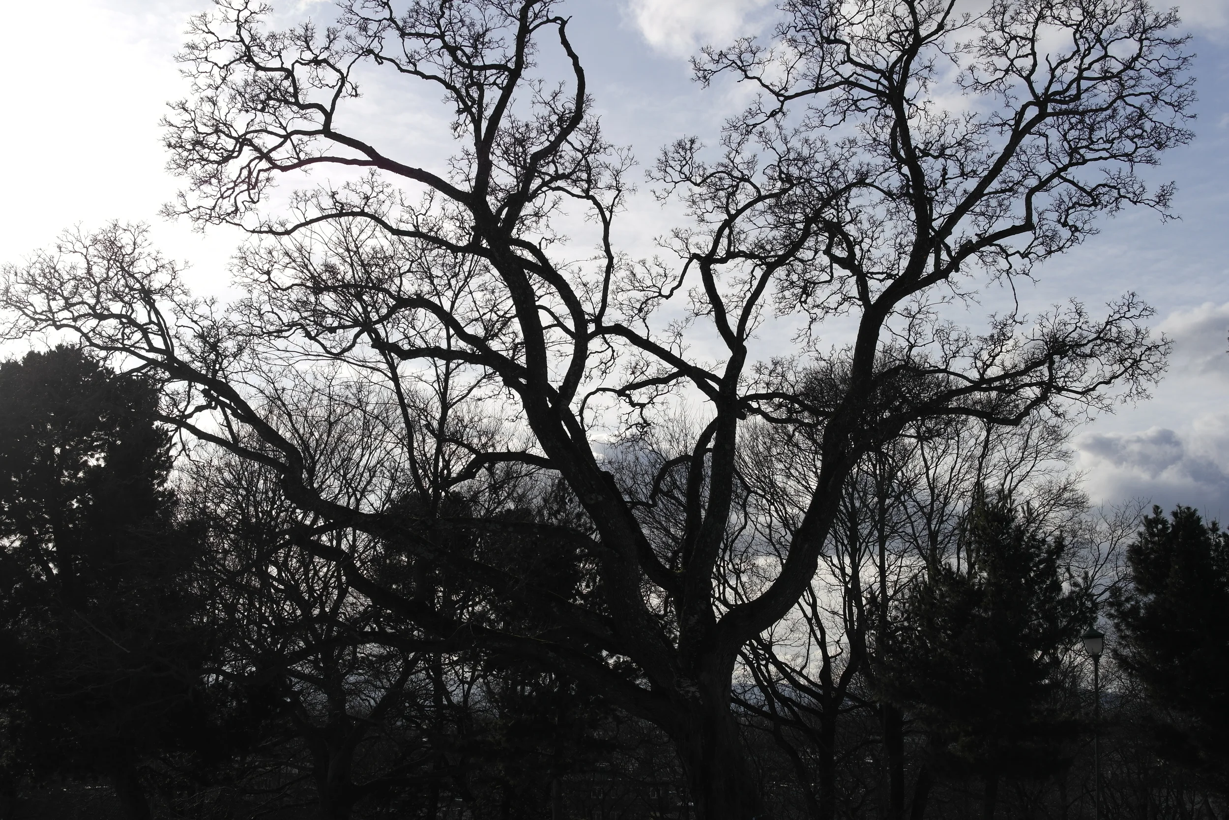 Kan jeg få lønn i stedet for ferie?