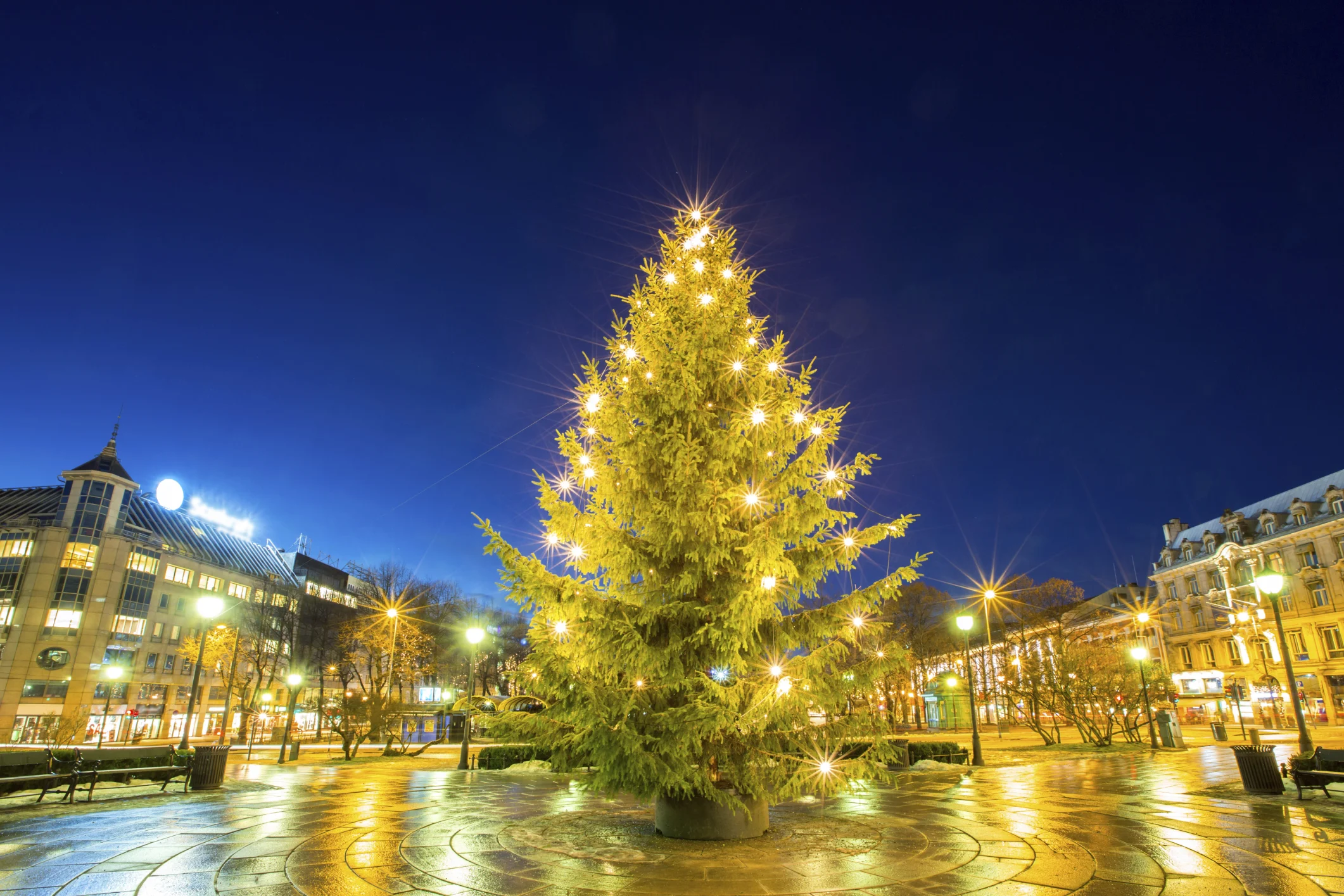 OSLO - Turnuskurs m/ Thrana, Helg & Høytid spesial - November 2016