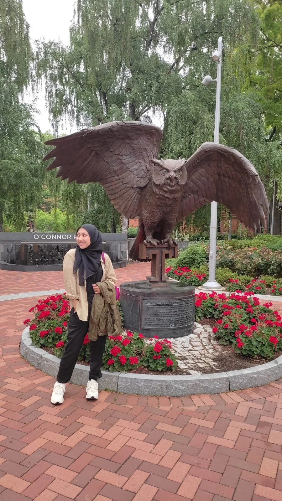 Farrah Temple Owl.jpeg