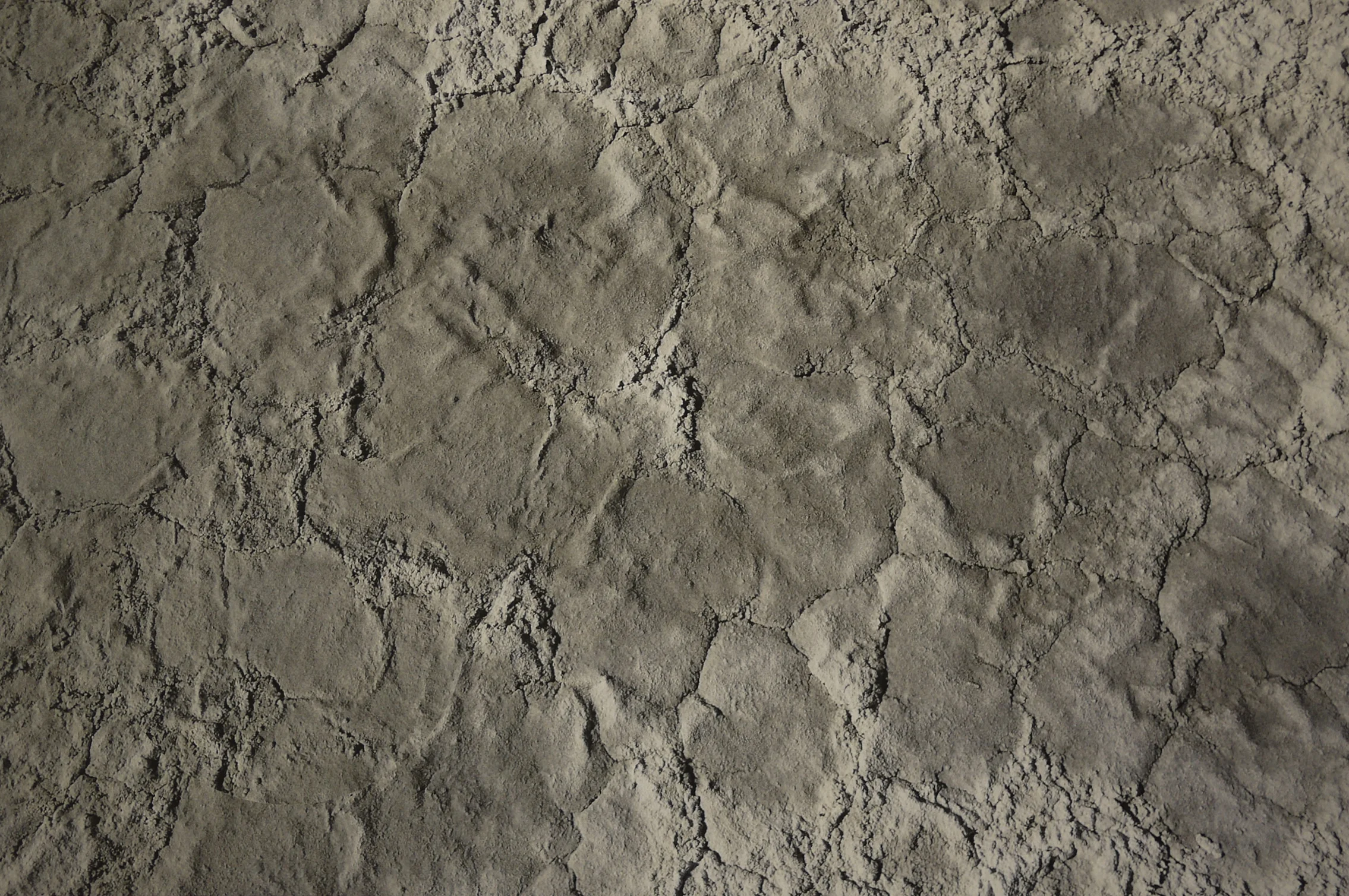 True North 2 Final.JPG