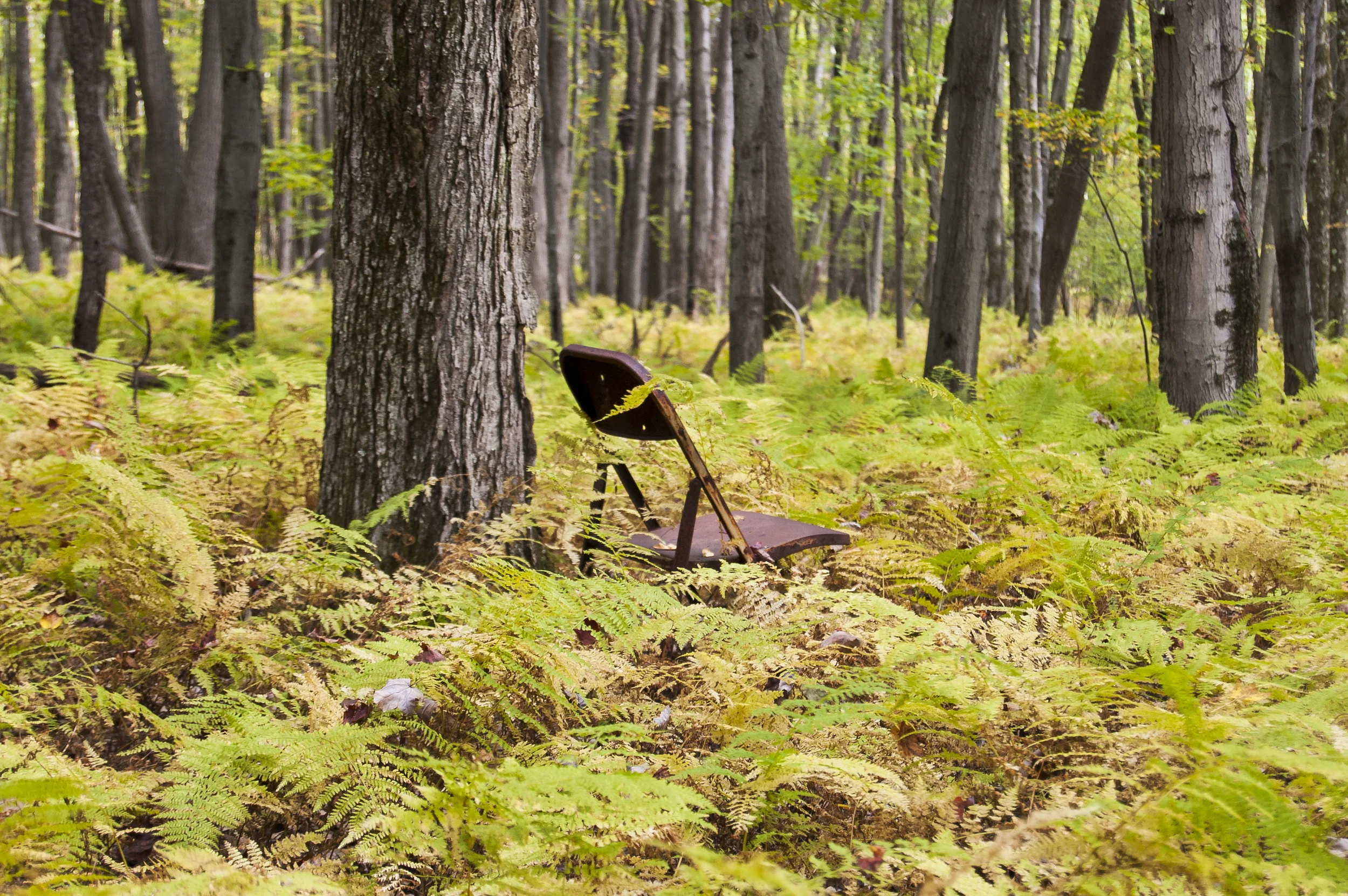 LOST CHAIR