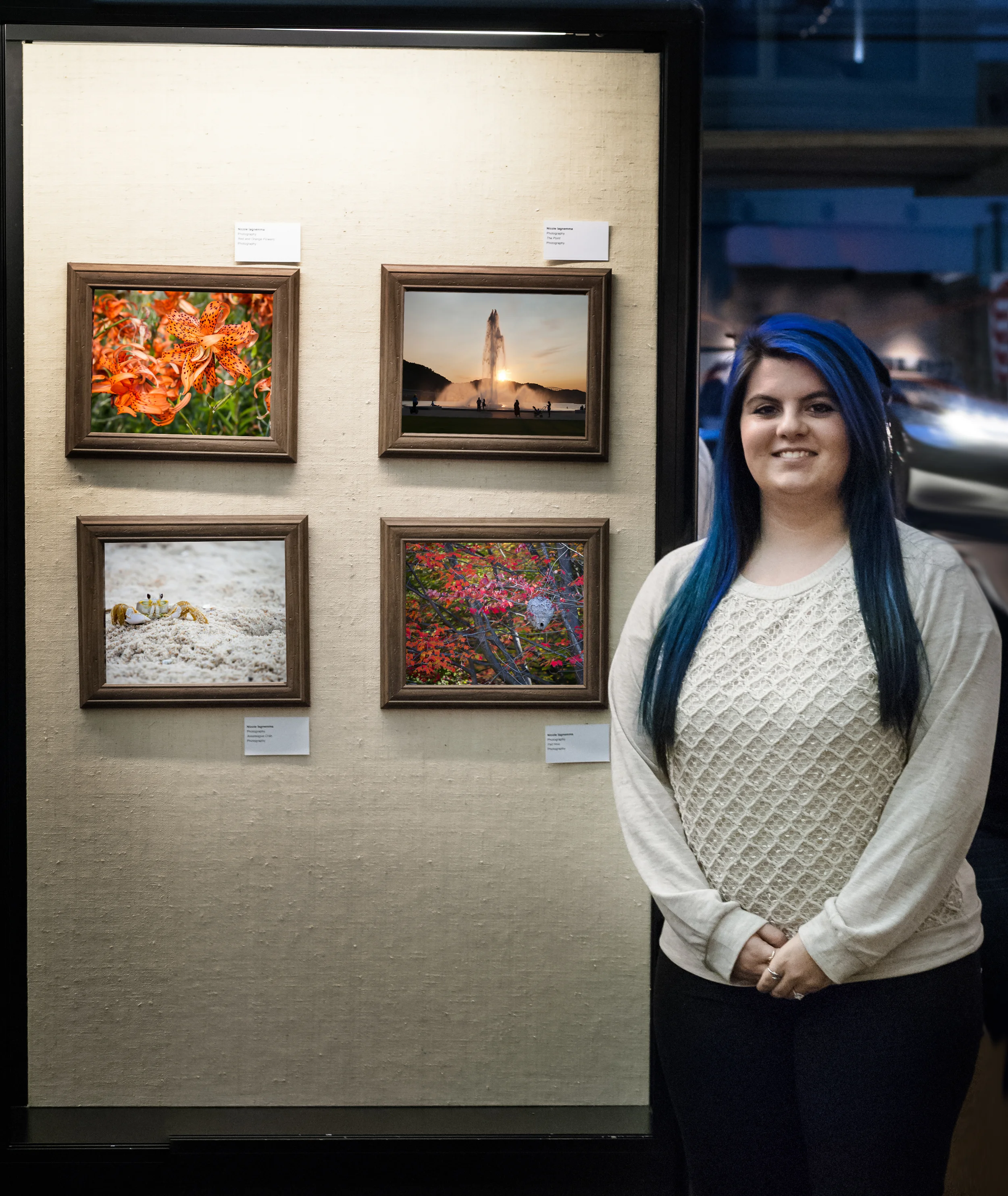 Art Institute Student Gallery Show