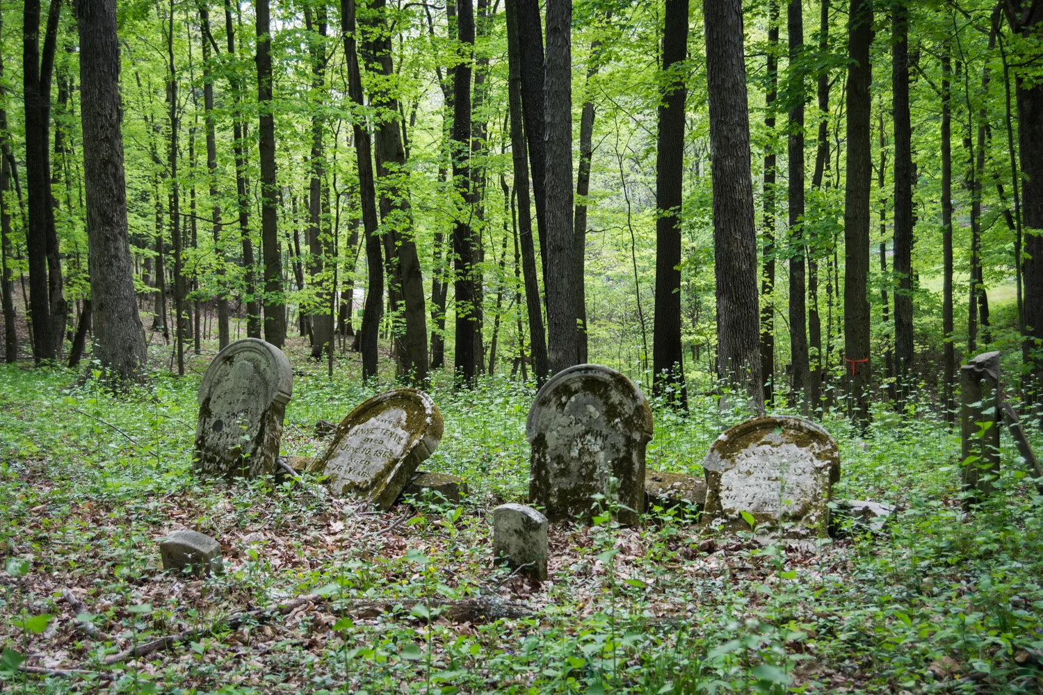 RACCOON CREEK - KINGS CEMETERY