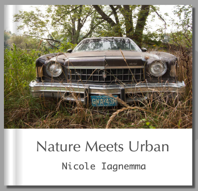 Nature Meets Urban