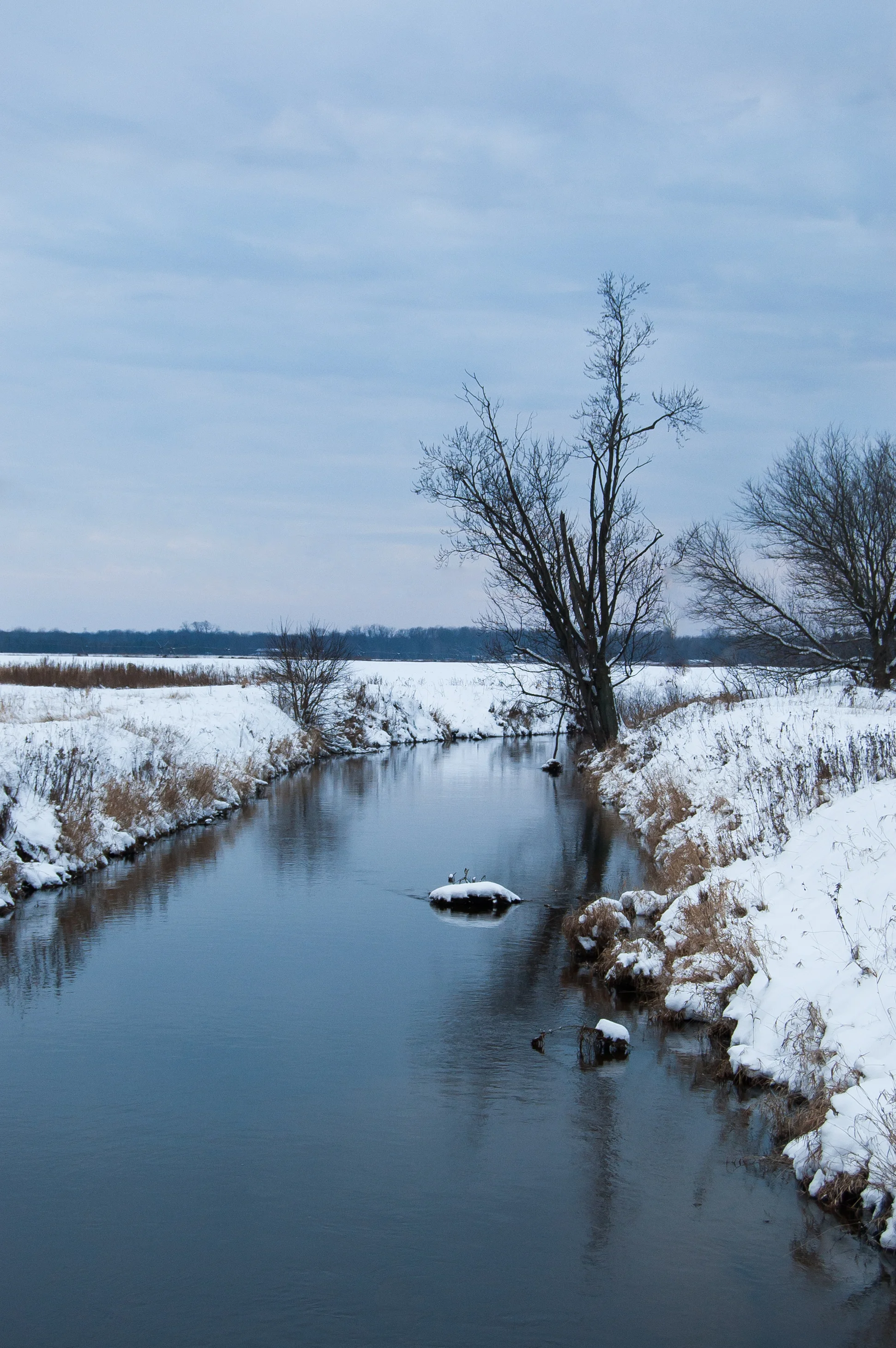 MICHIGAN WINTER