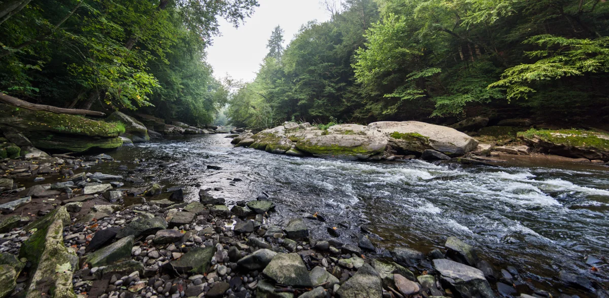 MCCONNELLS MILL - ROCKY CREEK