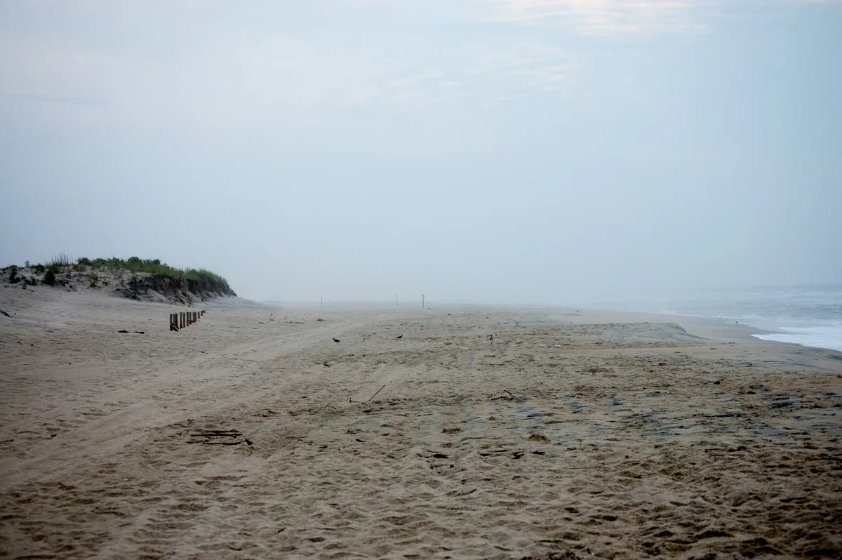 ASSATEAGUE ISLAND - FOGGY BEACH