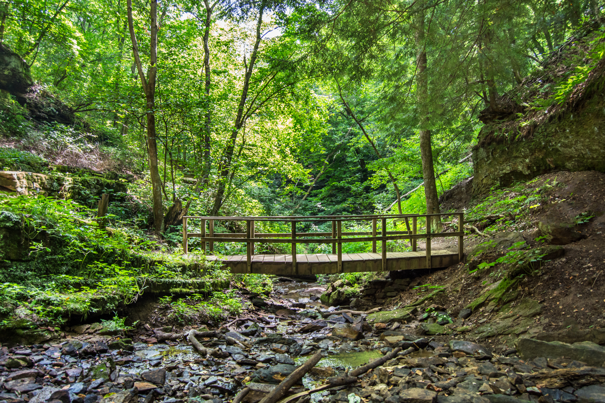 RACCOON CREEK - WOODEN BRIDGE