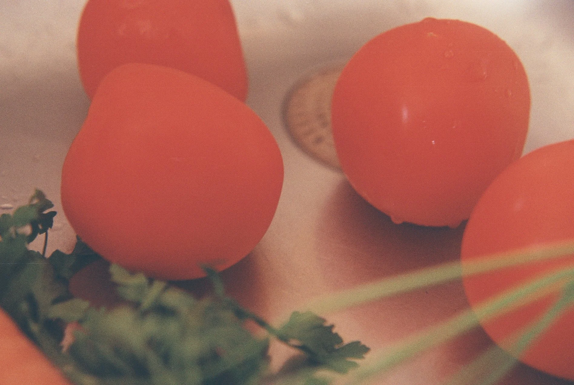 Isidora Vujosevic_2009 (14).jpg