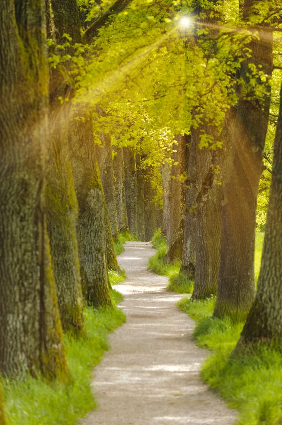 Fotolia_78450311_S.jpg