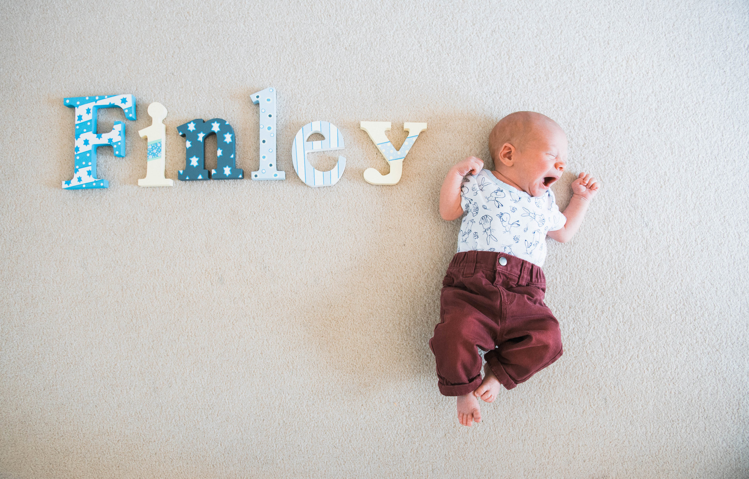finley-3.jpg
