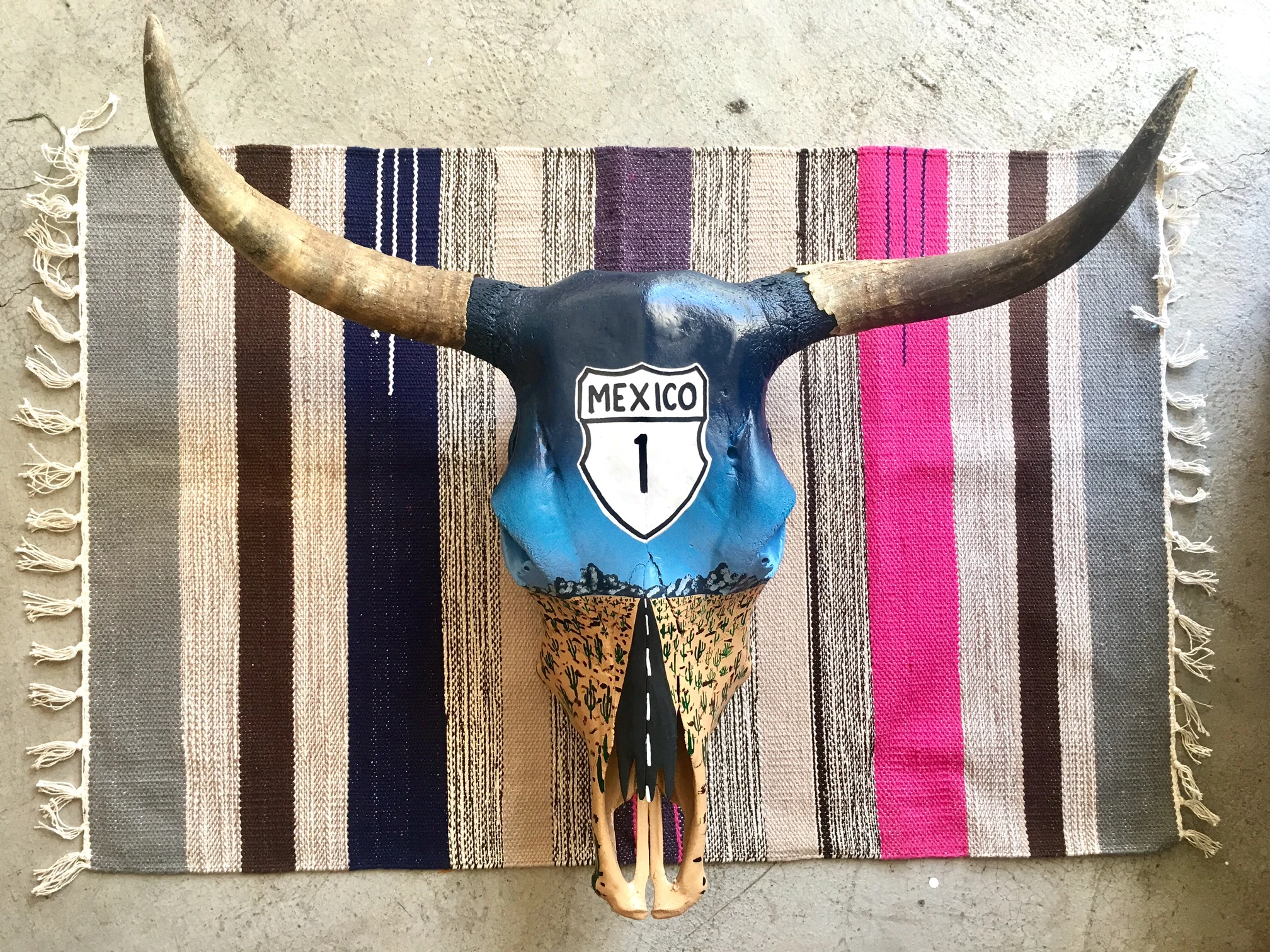 Hand Painted Mexico Highway 1 Cow Skull 