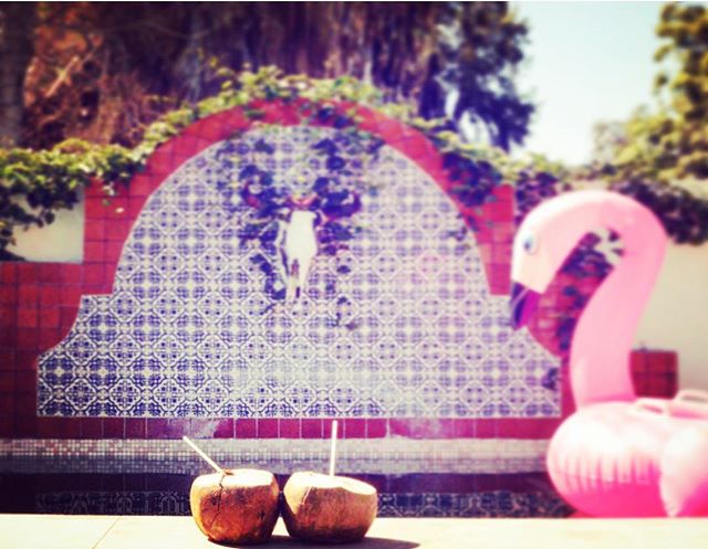 Still time to bring a friend and have more money to spend on pina coladas in a real coconut that was just plucked from our trees!! #thisishowwedosummer #putthelimeinthecoconut #summer #hot #flamingoparty #labohemiabaja #pooltime #poolparty #pinacoladas #coconutmojitos thank you @wonder.for.wander for the great photo