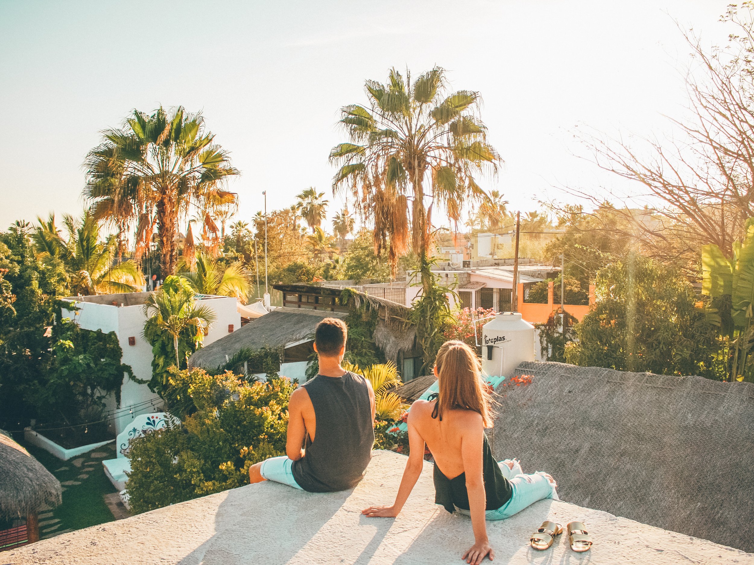 Rooftop sunset.jpg