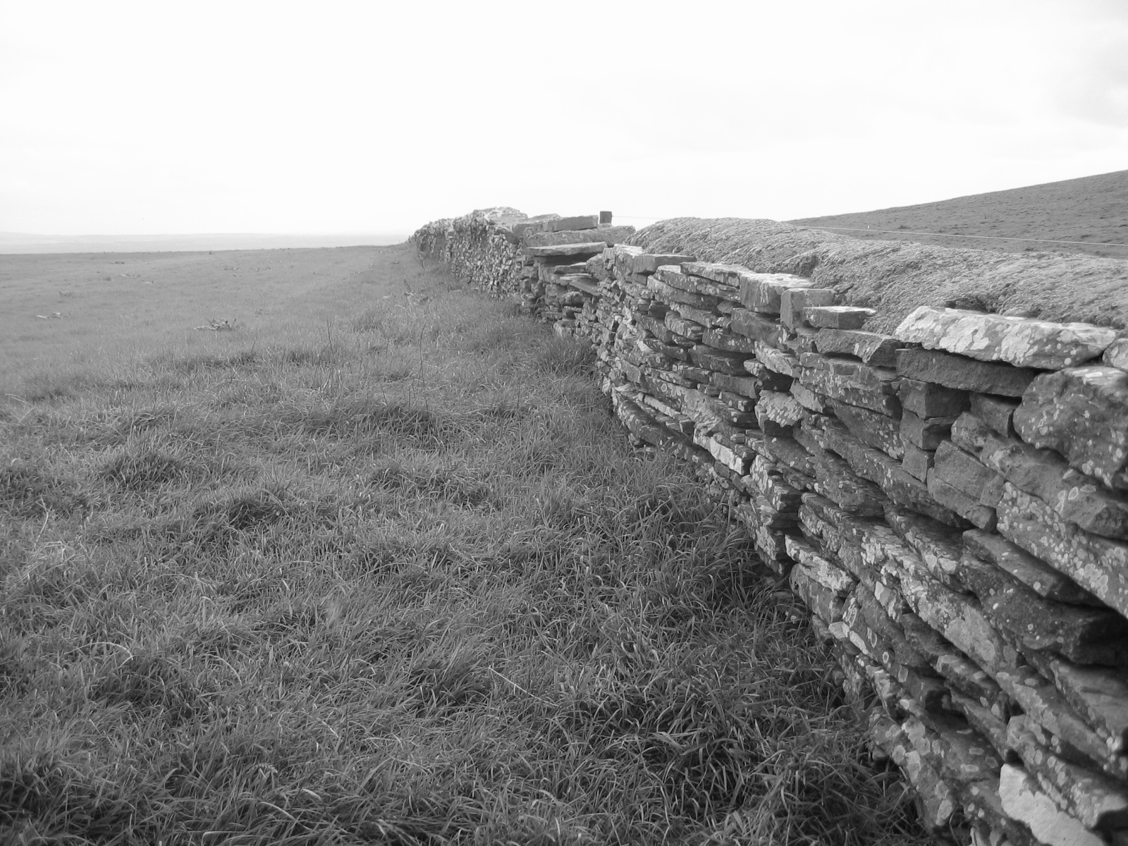 Stone Wall 2.JPG