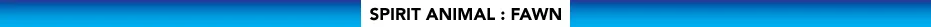 SpiritAnimalFawn_TitleBanner.jpg