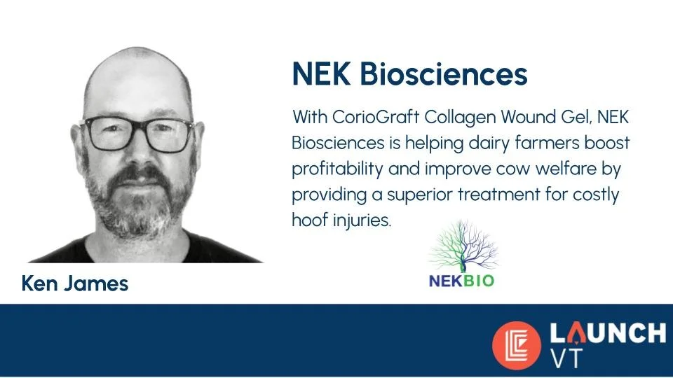 Reveal Slideshow (5).jpg