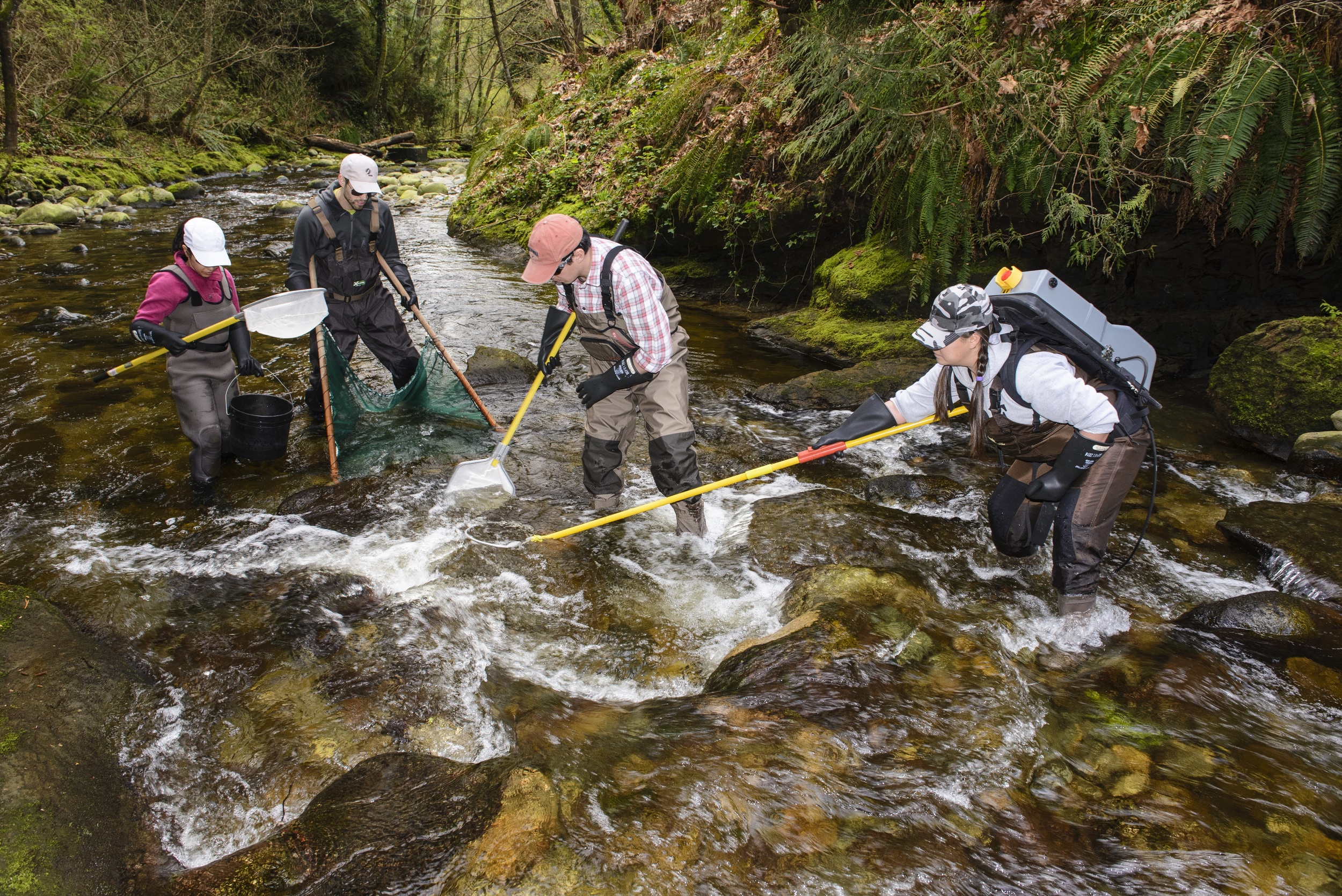 Natural Resources Training Group Essential Career Skills