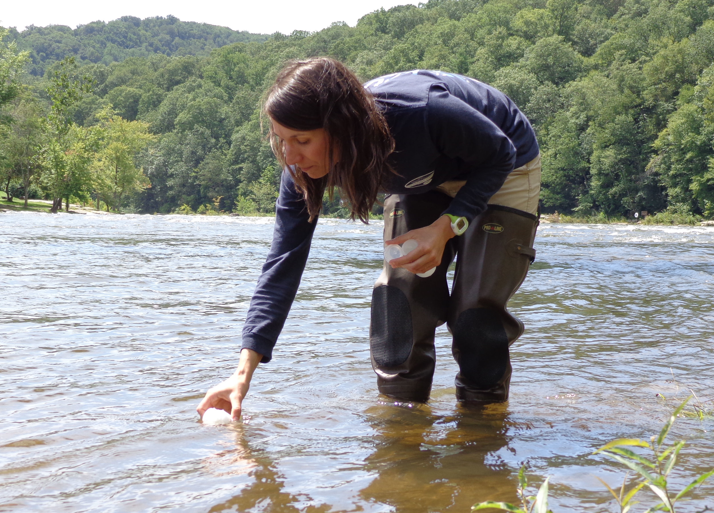 Env Inspector 7.jpg