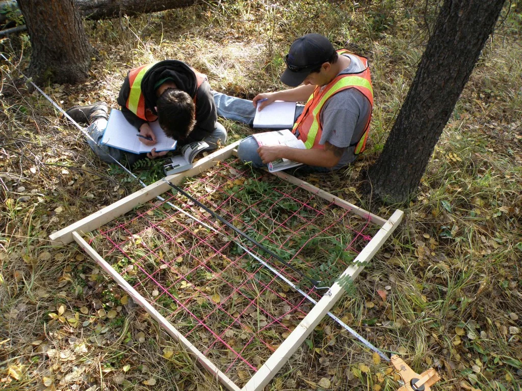 Experimental Design in Ecology — NRTG