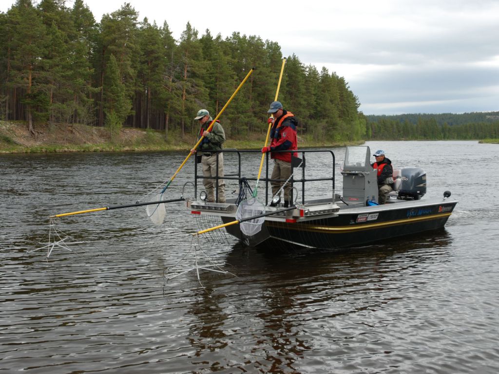 boat EF unit pic4.jpg