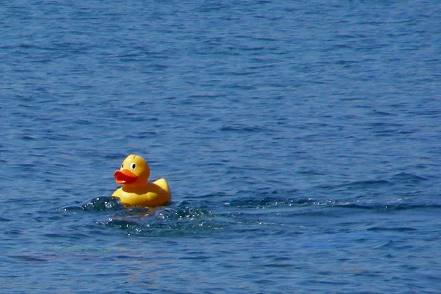 Similar floatie