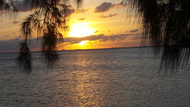 The Fine Art of Faithfulness