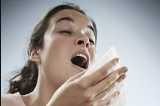 Sneeze - Say What?
